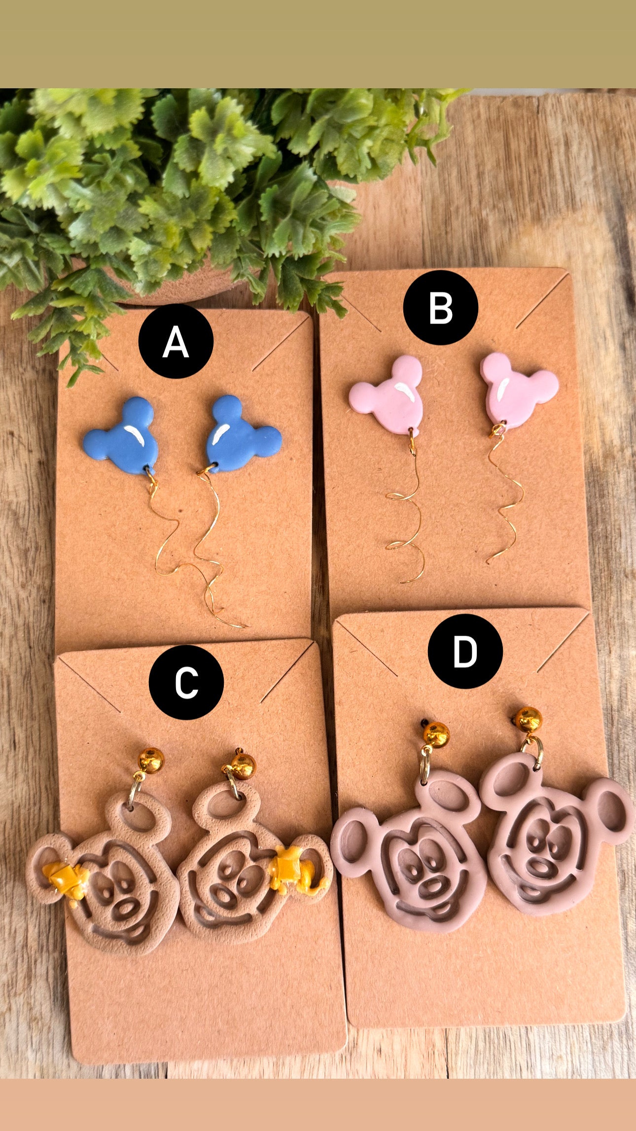 Disney Park Drop