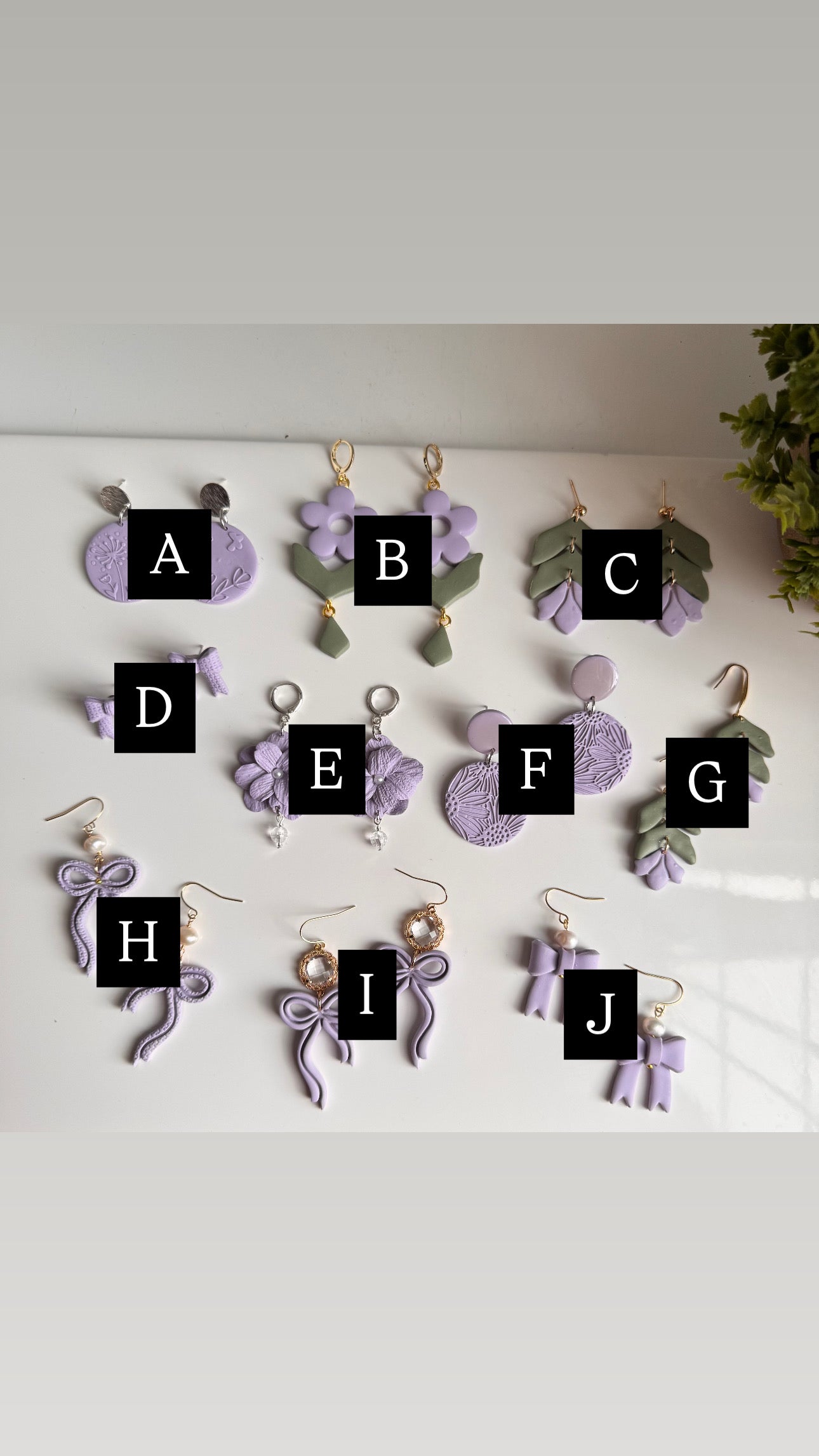 Purple Paradise - Spring Collection