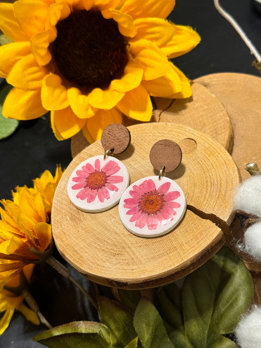 Sunshine & Daisies
